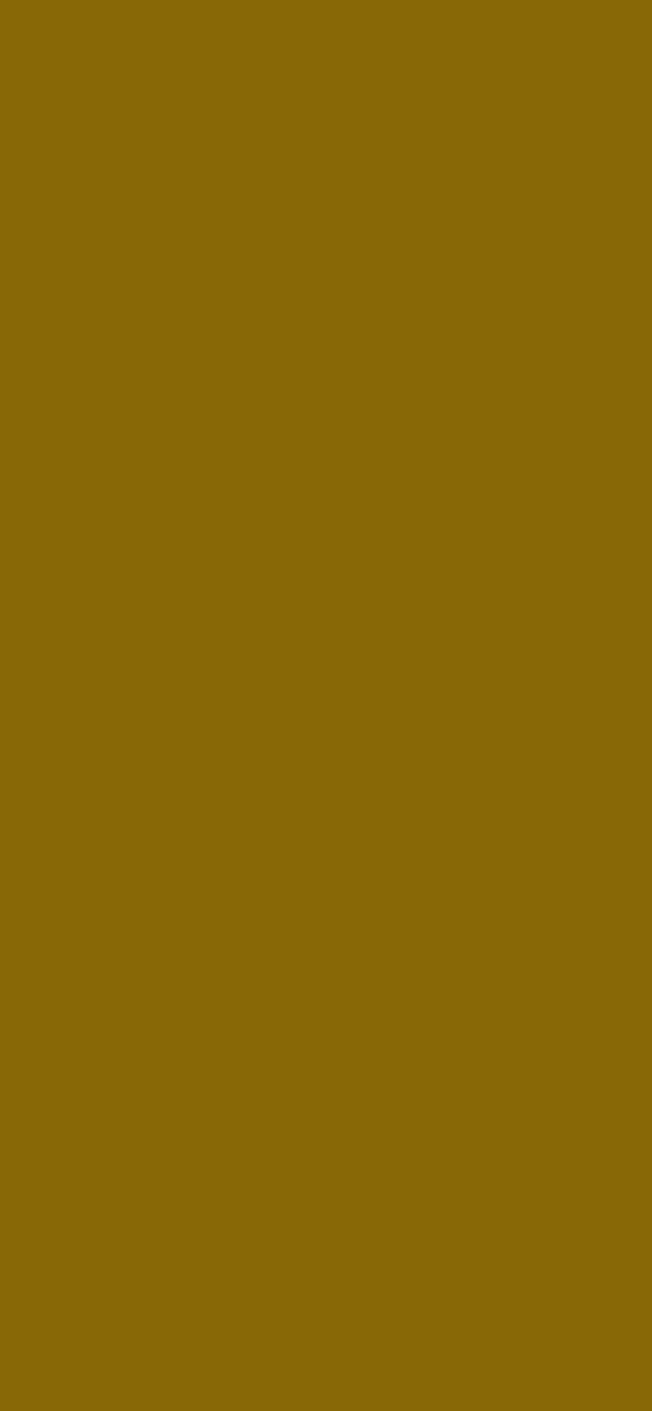 #886806 - Muddy Brown color image