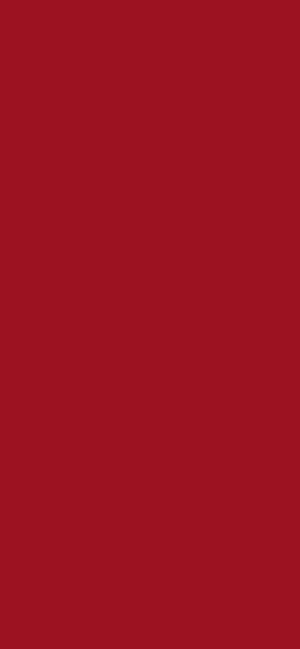#9B111E - Ruby Red color image