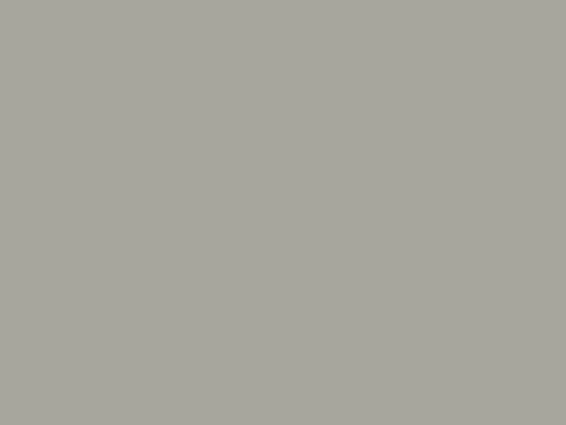 #A7A69D - Foggy Grey color image