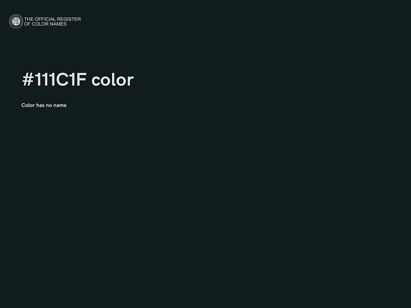 #111C1F color image