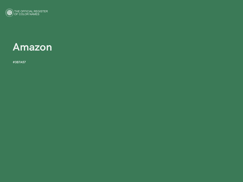 #3B7A57 - Amazon color image