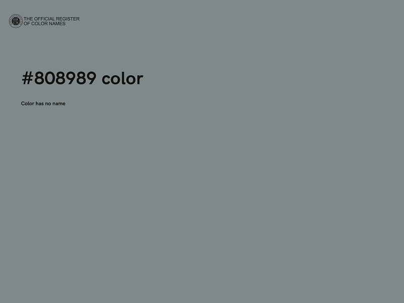 #808989 color image